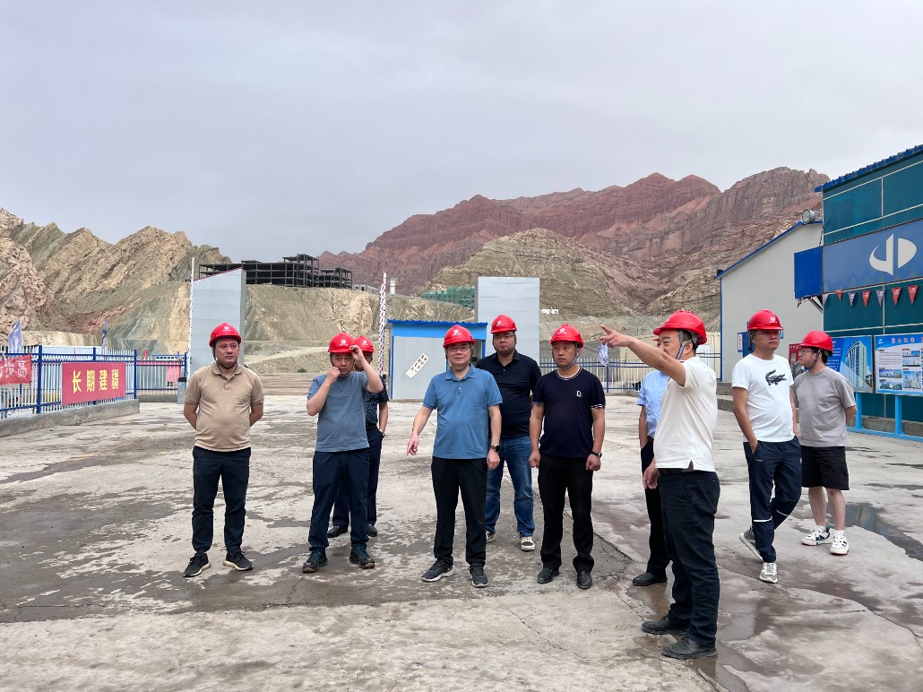 1689295790369636.jpg 游總赴新疆1.jpg